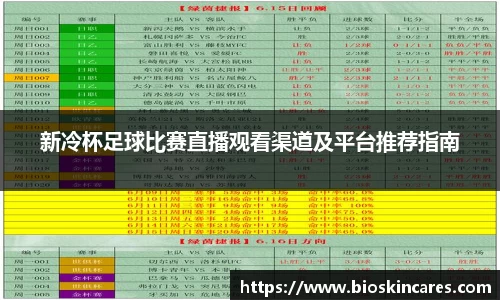 新冷杯足球比赛直播观看渠道及平台推荐指南
