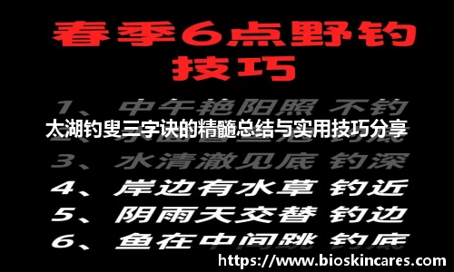 太湖钓叟三字诀的精髓总结与实用技巧分享